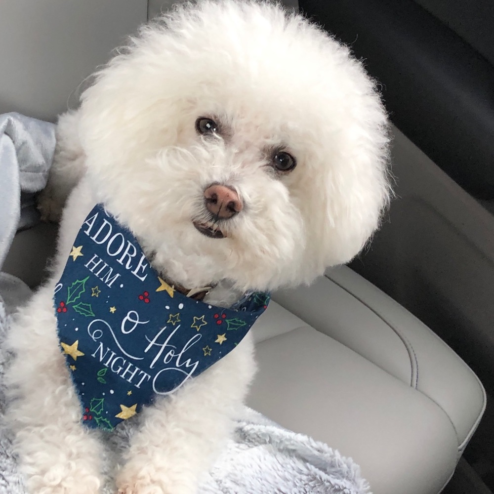 Meet your Posher, Barbara